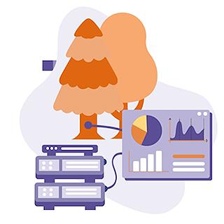 Bäume im Blick: Wie wir Wälder und ihre Daten visualisieren